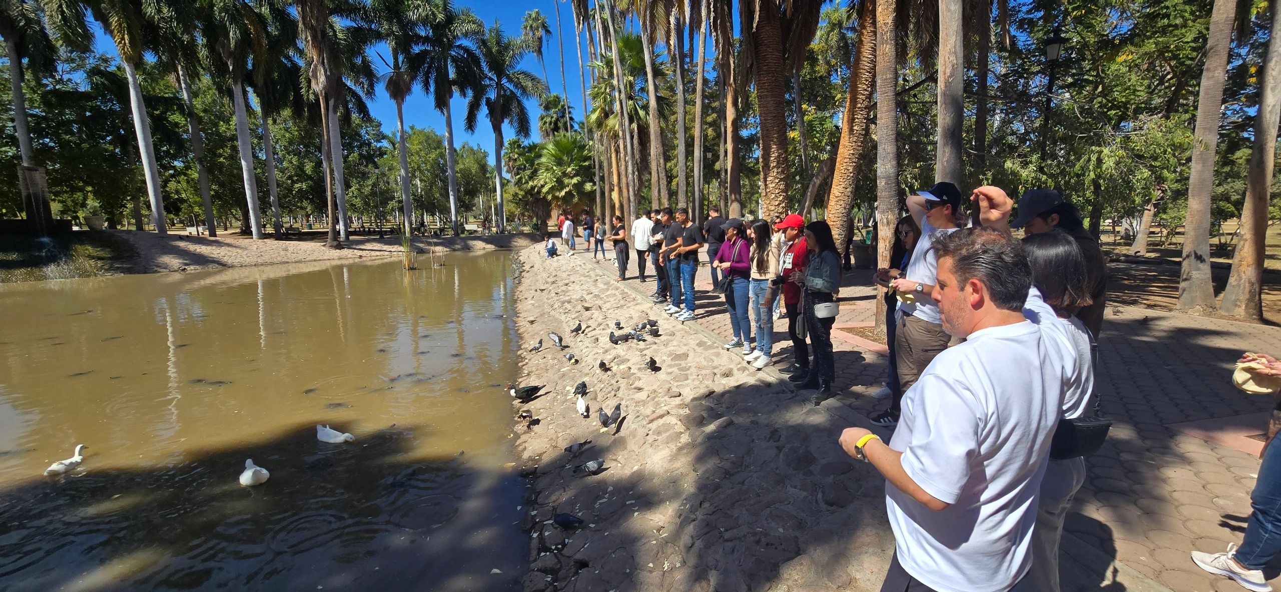Tour El Maviri - Restaurante