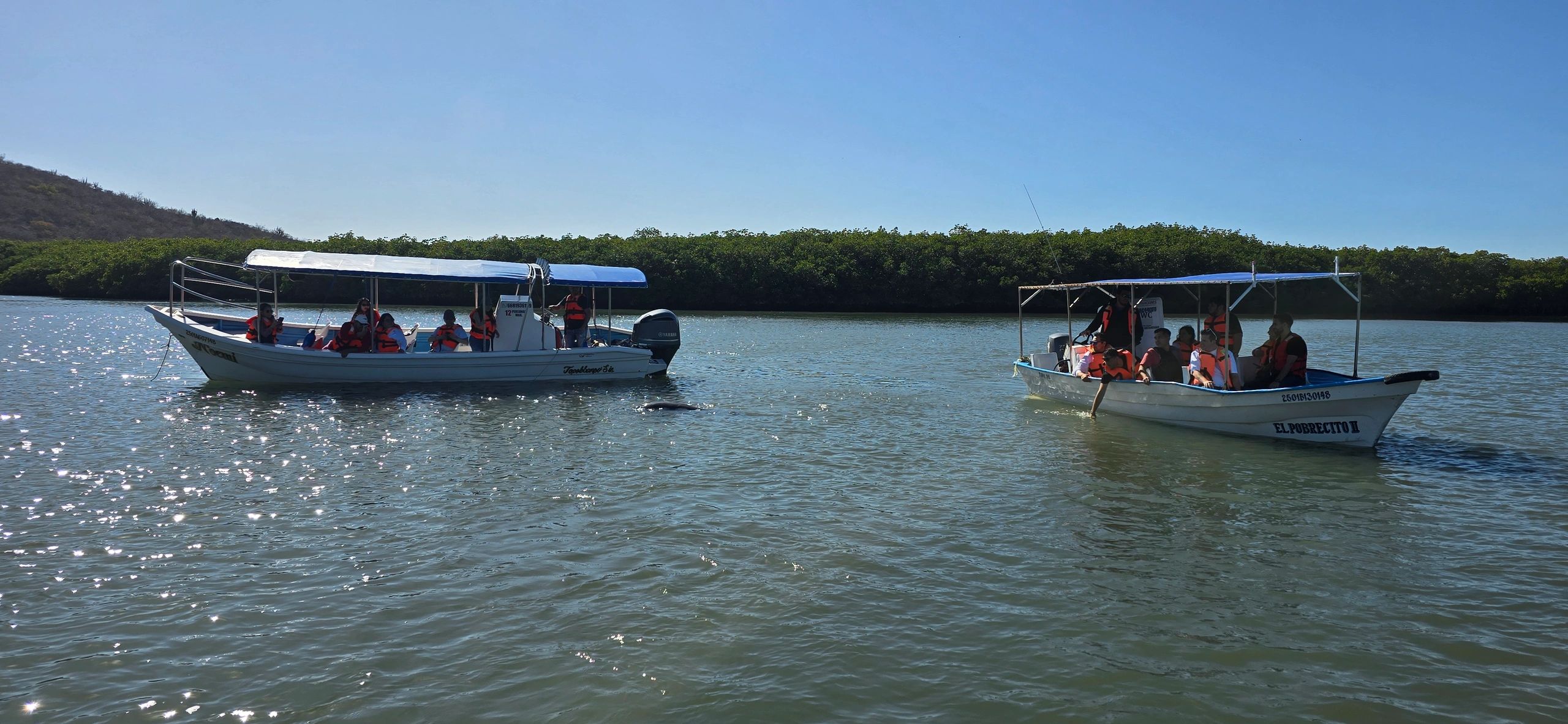 Tour Sinaloa de Leyva - Malecón